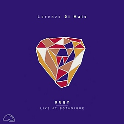 Lorenzo Di Maio : Ruby Live at Botanique