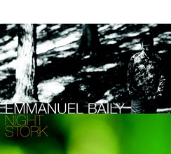Emmanuel Baily : Night Stork