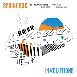 Matthieu Marthouret SpringBok : Involutions