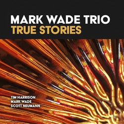 Mark Wade Trio : True Stories