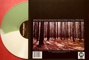 Enter The Woods (back LP)