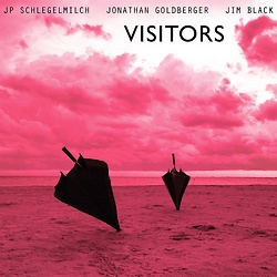 JP Schlegelmilch, Jonathan Goldberger and Jim Black : Visitors