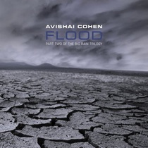 Avishai Cohen : Flood