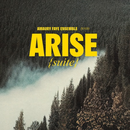 Amaury Faye Ensemble : Arise (suite)
