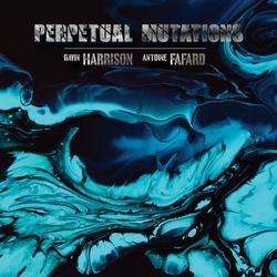 Gavin Harrison & Antoine Fafard : Perpetual Mutations