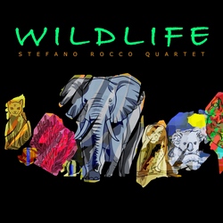 Stefano Rocco Quartet : Wildlife