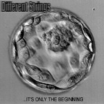 Different Strings : ...It's Only The Beginning